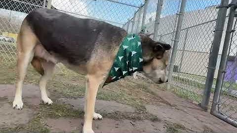 600890208 25233393456302623 5870434832109715786 n