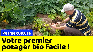 Comment debuter un potager en permaculture ?
