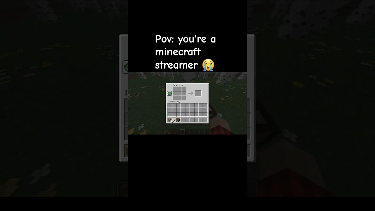 POV: You're A Minecraft Streamer 