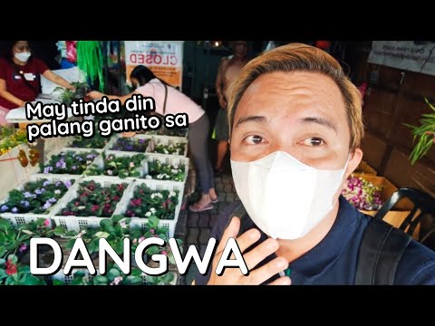 Video: Fern Garden: Hipon Na May Pulang Sungay