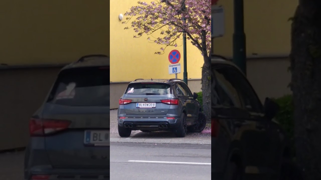 Person Showing Funny License Plate