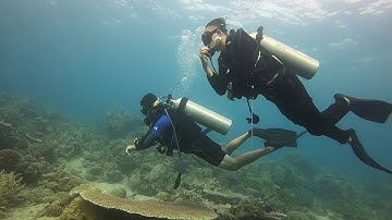 PESONA BAWAH LAUT PULAU SABANG TOLITOLI (Sulawesi Tengah)