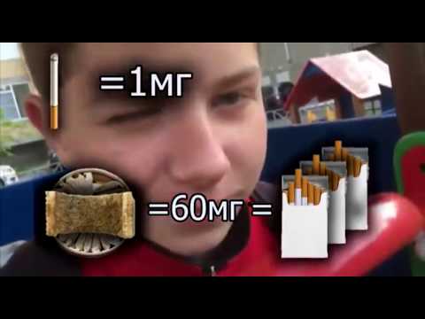 Снюсы   что это такое