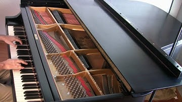 (BWV 872) Prelude and Fugue in C-sharp Major, WTC II | Cory Hall, pianist-composer