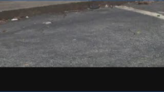 Woman killed by vehicle police say refused to pull over