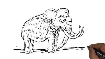 How to draw a Mammoth easy and step by step