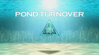 Pond Care 115: Pond Turnover