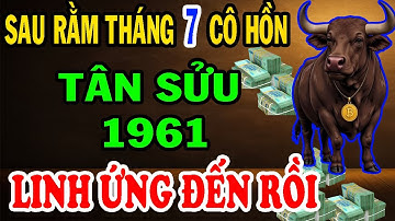 Sau rằm Tháng 7 Cô Hồn Linh Ứng Kỳ Lạ: Tân Sửu Biết Trước Điều Này, Vận Xui Lui Hết Tiền Tài Kéo Về!