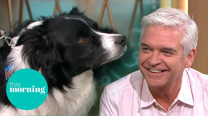 Phillip & Britain's Smartest Dog Make Special Connection | This Morning - DayDayNews