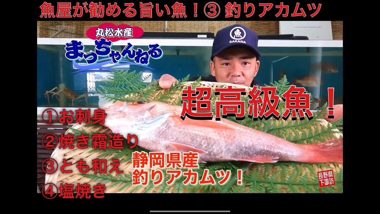 魚屋が勧める旨い魚 静岡県産釣りアカムツ Youtube 魚屋が勧める旨い魚 静岡県産釣りアカムツ Youtube