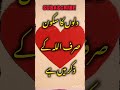 دلوں کا ذکر Shorts Trending Shortvideo Youtube Ytshorts Youtubeshort Islam Heart Trend دلوں کا ذکر Shorts Trending Shortvideo Youtube Ytshorts Youtubeshort Islam Heart Trend