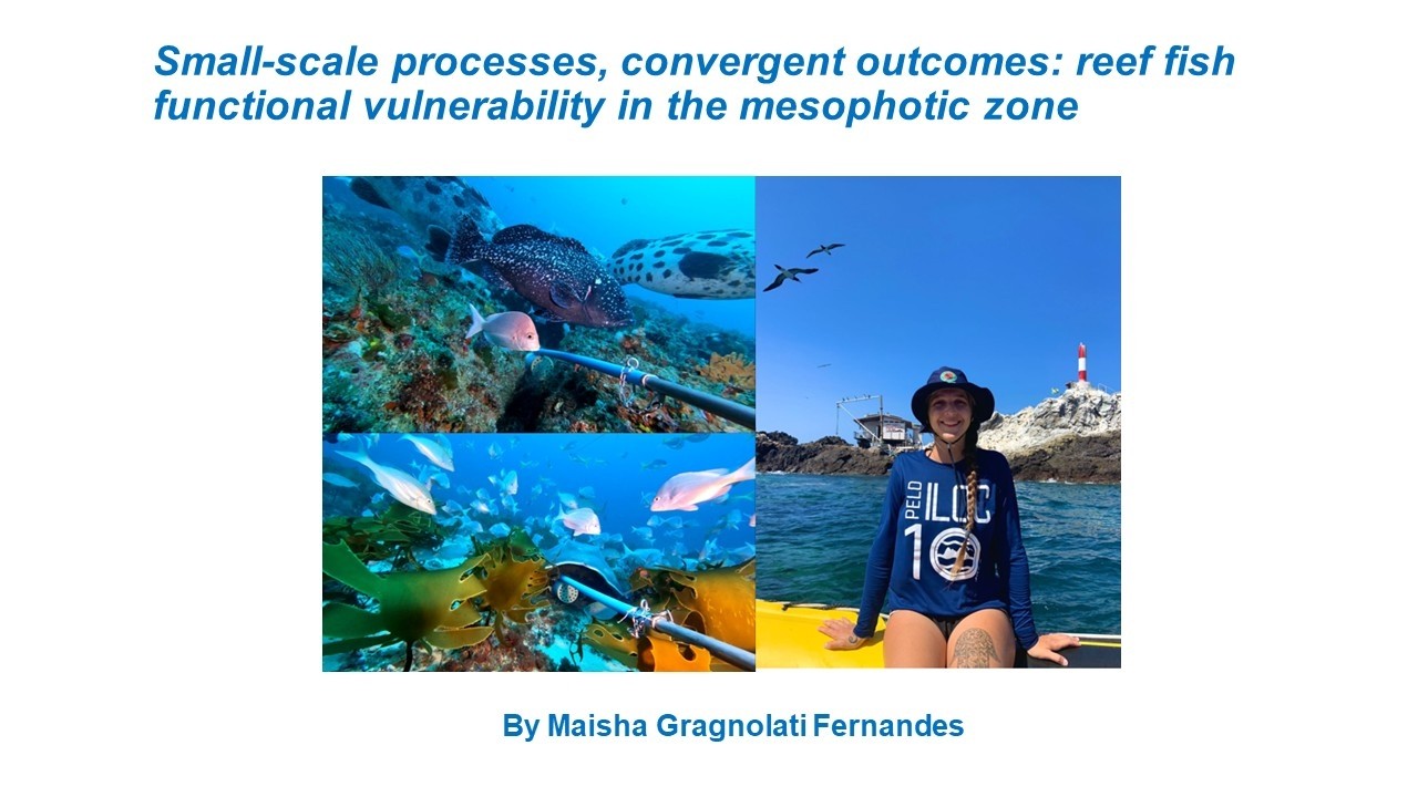 SAIAB Seminar Series 2026: Maisha Gragnolati Fernandes