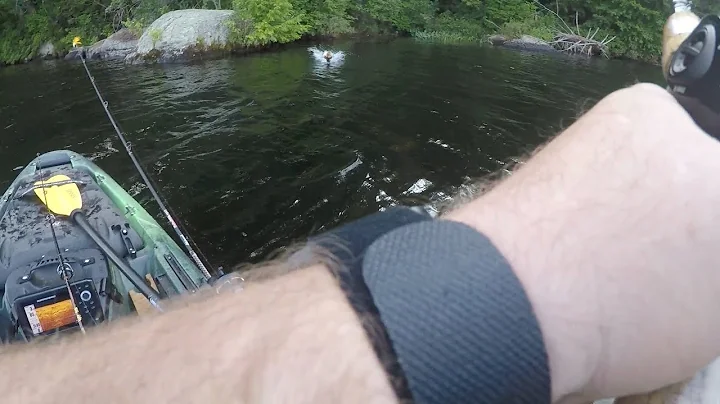 Gregg Lake Bass Fishing