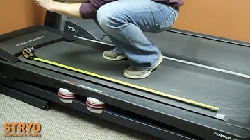 Treadmill Calibration - 3