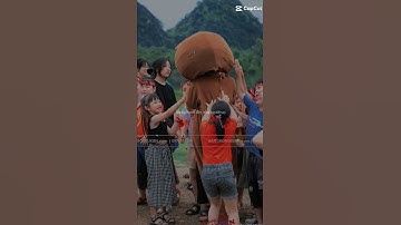 in băng đô quấn đầu cho các sự kiện | Băng Rôn Sự Kiện |  #tochucsukien #teambuilding #marketing