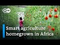 Could greenhouse farming be the answer for africas food security  dw news