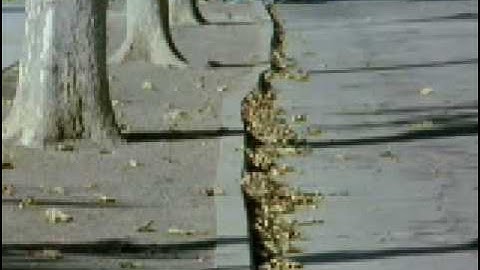 San Andreas Fault (Discovery Channel)