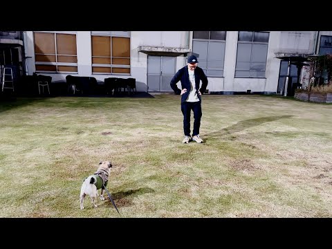 【大丈夫か？】りおちゃんにサプライズする直前の緊張感がヤバすぎた…