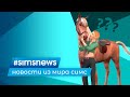 #SIMSNEWS | ДЕВЯТОЕ ДОПОЛНЕНИЕ ДЛЯ THE SIMS 4