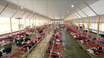 Dairy Automation Journey: Farming for a Healthier Future