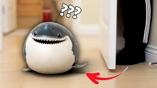 Baby Shark's Hide and Seek Adventure: You Won't Believe What He Does To Find Me!