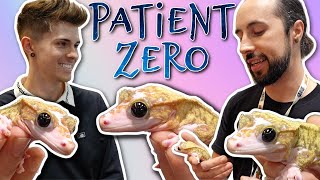 Meeting Patient Zero! (I got a new rare gecko at NARBC St. Louis)