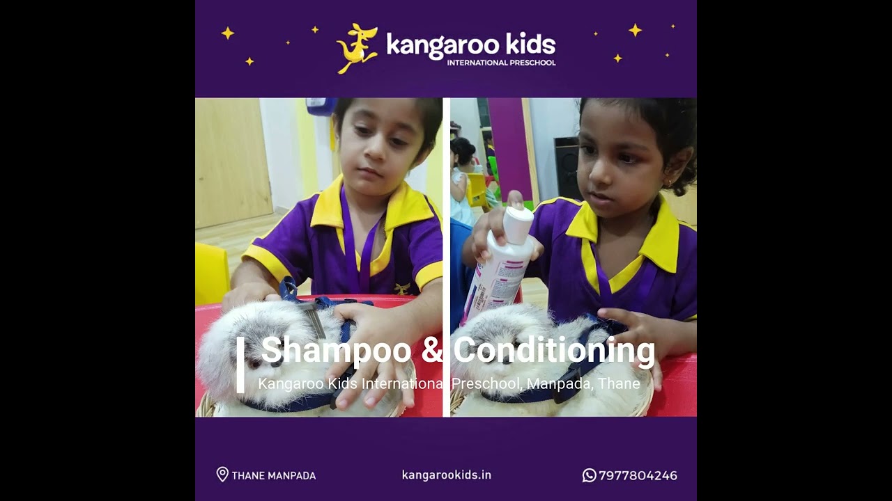 Kids grooming pet  | Teaching Kids to Groom Pet | Love your pets | Preschool Activities