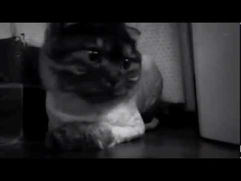 ＤＯＮ'Ｔ ＹＯＵ 超可愛～ＰＡＲＴＹ那天