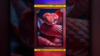 Danger top 3 animal facts| #shorts #viral #animals #facts #viralshorts