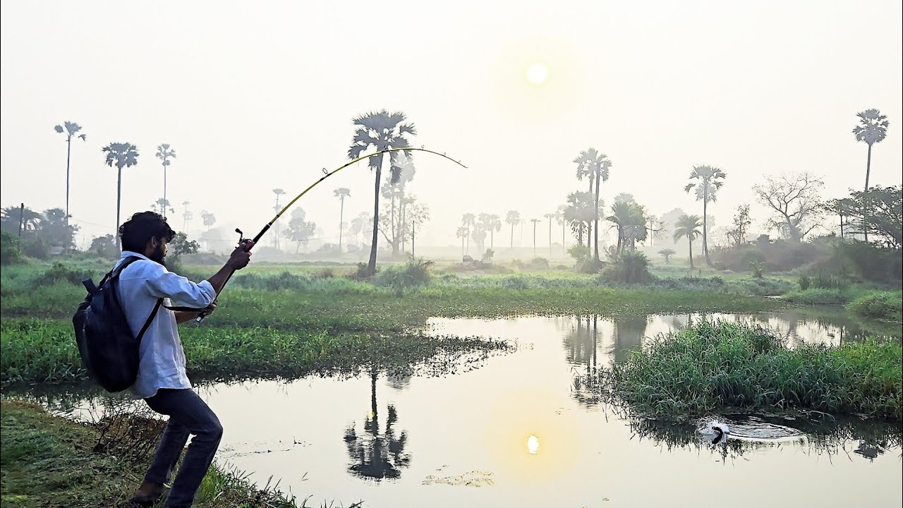 Village River Fish hunting Amazing Fishing Video.Snakehead Fishing Adventure how to Snakehead,Fish 