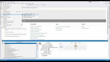 Microsoft Visual Studio & Nexus Lifeycle