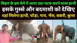 Sonpur Mela की तरह Muzaffarpur मे लगा दूसरा मेला Hathi ghoda Shobha Samrat theatre Garha mela 2024