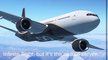 Casual server, but if something goes wrong the video ends |Infinite Flight|
