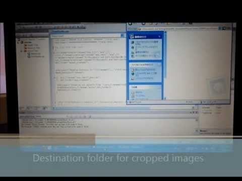 Automatic Image Downloading and Cropping Algorithm