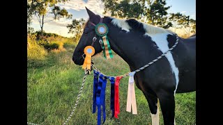 We rocked it! Our first Cowboy Dressage Gathering