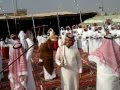 عيد الولامين و العرضه الدوسريه 