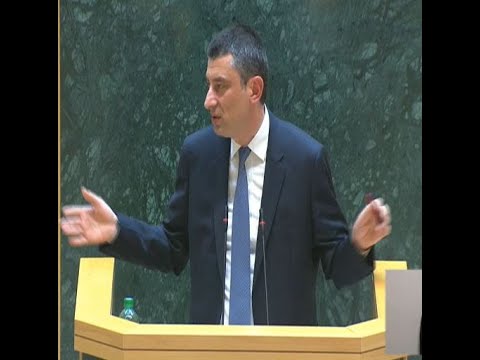 ვერასოდეს ვერ შევთანხმდებით, ქვეყანაში პოლიტპატიმრები არიან თუ არა  - გახარია ოპოზიციას