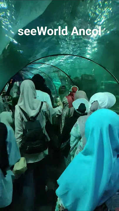 seeWorld Ancol #shorts