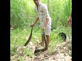 Python Saved After Falling Into Deep Well 🐍💧