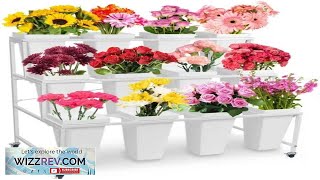 3 Tier Metal Flower Display Stand with 12 Buckets Heavy Duty Rolling Review