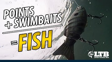 How To Fish Swimbaits on Secondary Points: Lucky Tackle Box Tips