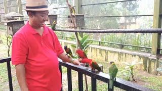 Jom Jalan2 Taman Burung Kuala Lumpur | Bird Park (Full Tour)