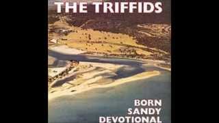 tender is the night - the triffids chords