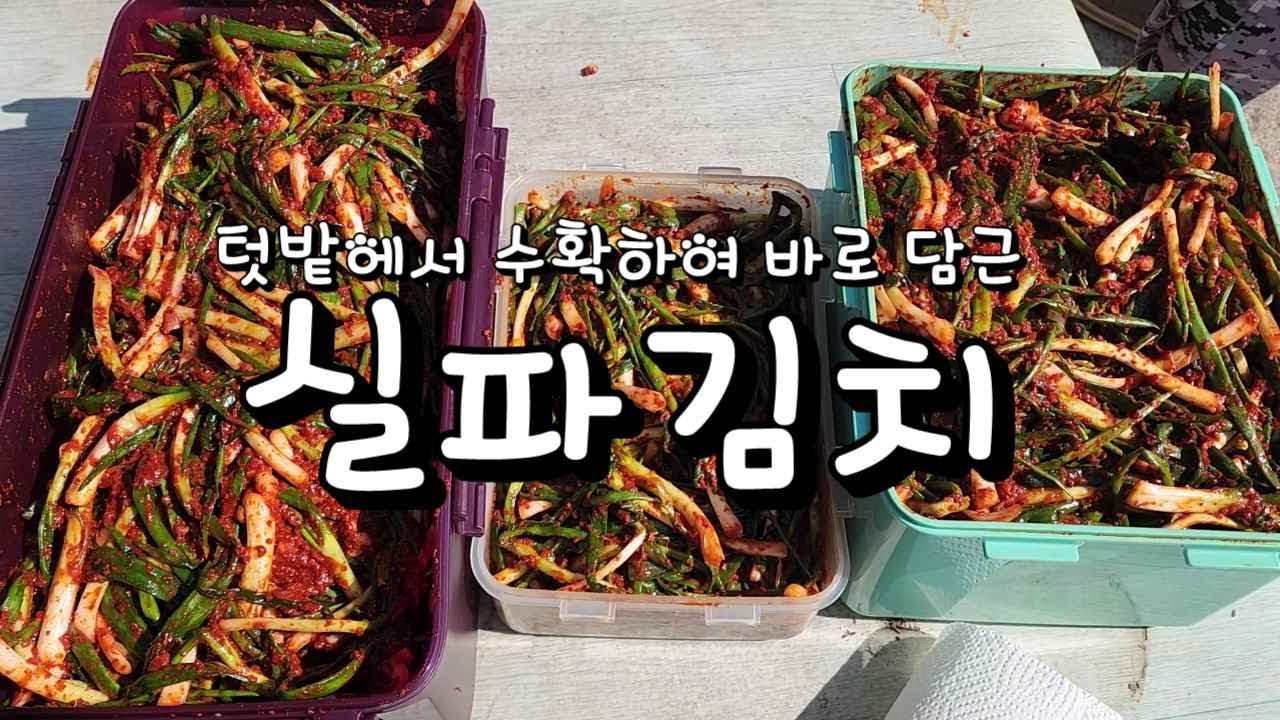 텃밭에서 수확하여 바로 담근 실파김치 - YouTube