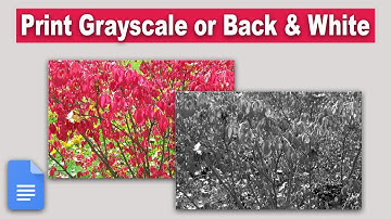 How to Print Grayscale or Black and White in Google Docs