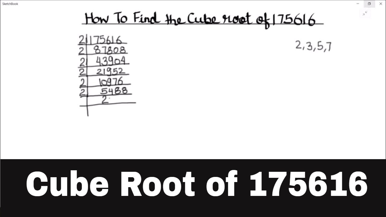 How to Find the Cube Root of 175616 / Finding Cube Root of 175616 / Cube  Root By Prime Factorization
