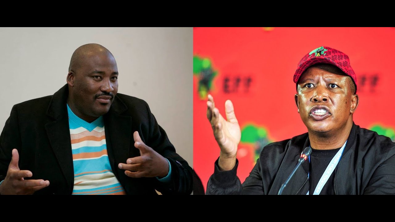 Julius Malema vs Gayton McKenzie: Who's Really the Cult? (2024)