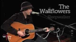 The Wallflowers - 'Sleepwalker' (Live at WFUV)