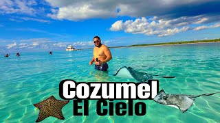 El mejor TOUR a El Cielo Cozumel desde Playa del Carmen(costo,sargazo,snorkel, la 5ta Av.) feb 2024