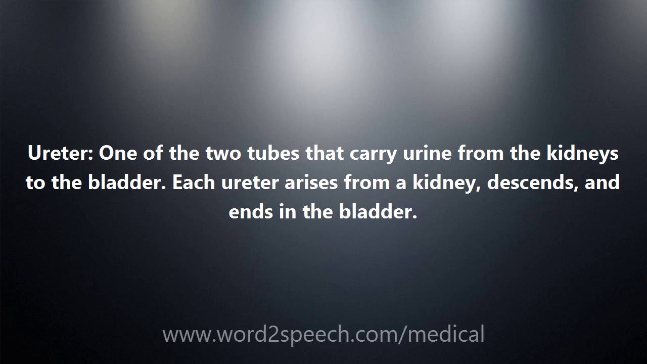 Ureter Medical Definition and Pronunciation YouTube
